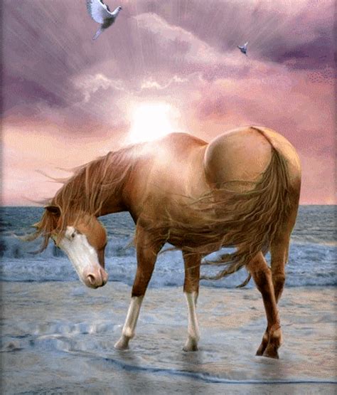 Nov 20, 2015 - Free horse gif animations - best horse image collection of horses. 