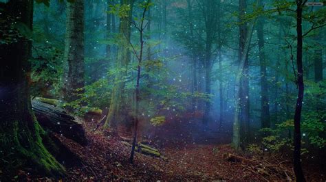 Beautiful mysterious stranger called to the forest.. Things To Know About Beautiful mysterious stranger called to the forest.. 