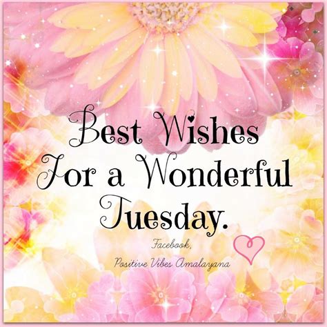 Beautiful tuesday quotes. Things To Know About Beautiful tuesday quotes. 