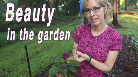 Beautyberry: Can you eat it? - YouTube