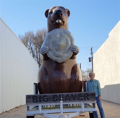 Beaver, Oklahoma Population & Demographics - AreaVibes