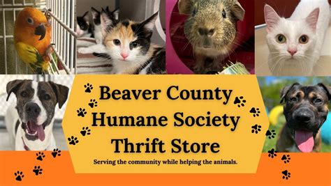 Beaver county humane society center township pa. Center Township, PA 15001. Thrift Store. Phone: 724-846-0202. Closed Sun/Mon/Thurs ... Beaver County Humane Society is a registered 501(c)3 nonprofit. EIN: 25-1064313 