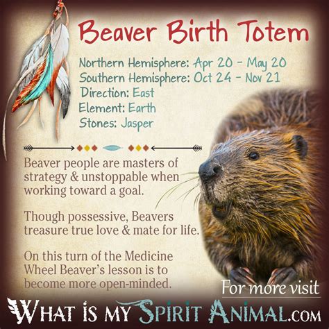 Beaver my chart. Things To Know About Beaver my chart. 