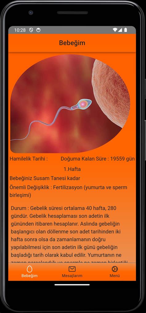 codini.rgarabwor.edu.pl. 