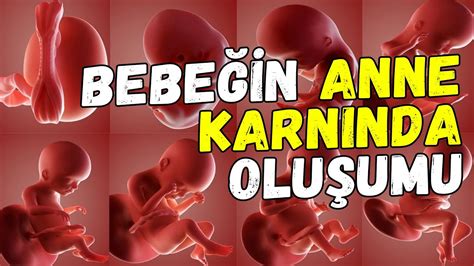 Bebeğin anne karnında duyduğu sesler YouTube.