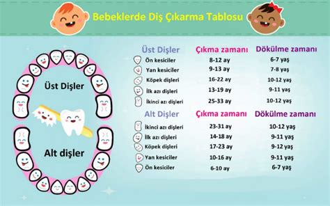 Bebeklerde diş çıkarma belirtileri ve tablosu: Bebeklerde diş . 
