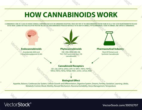 Because CCD is a model for AD, this would suggest that cannabinoids may work in a similar way in canine patients