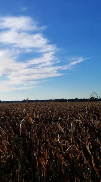 Beccam1221 Leaks [PPV] 💋