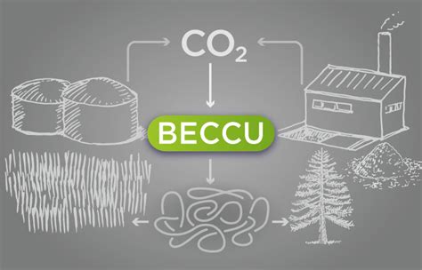 💦 Beccu Leaks [CLIP] 248 Videos