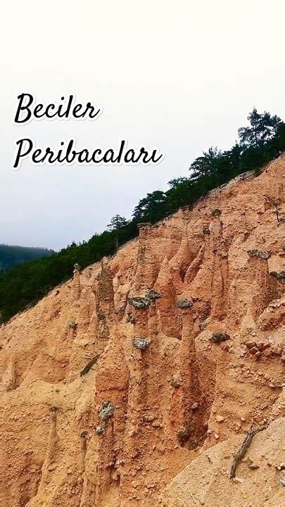 Beciler Halı ve Koltuk Yıkama