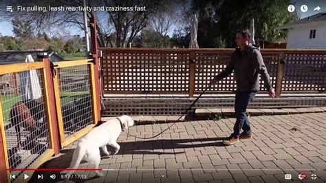 Beckmans dog training. Things To Know About Beckmans dog training. 