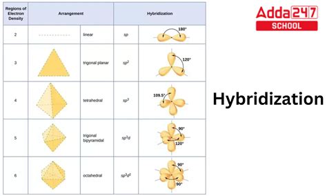 Becl2 hybridization diagram.  Types of Hybridization with examples for sp, sp2, sp3, sp...