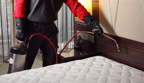 Bed Bugs Extermination/ Pest Control Service For Carpenter …