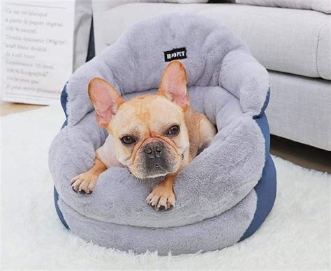 Bed For French Bulldog Puppy