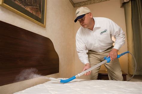 Bed bugs exterminating. May 3, 2022 · Also, Friedman recommends turning off the lights at night and waiting 10 minutes. Then, use a flashlight to inspect your mattress to see if they have emerged. If you find bed bugs, strip your bed ... 