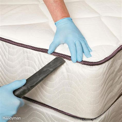 Bed bugs removal. Vacuum. Vacuum your bedding, furniture, and even the tiny cracks that you see on your bed frame, walls, and wallpaper. Even the box spring must be vacuumed as much as possible. Get a brush and use it to help loosen up any bugs and eggs that you see on your mattress, upholstered furniture, and the like. 
