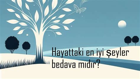 codini.rgarabwor.edu.pl. 