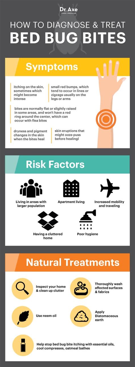 Bedbugs - Diagnosis and treatment - Mayo Clinic