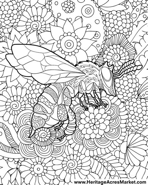Lifted Truck Coloring Page