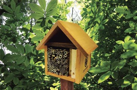 Bee Houses for Native Solitary Bees The Old Farmer