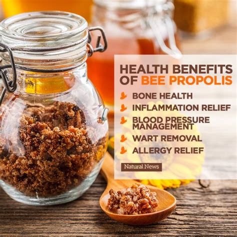 Bee Propolis - 6 Health Benefits of Propolis — Nature