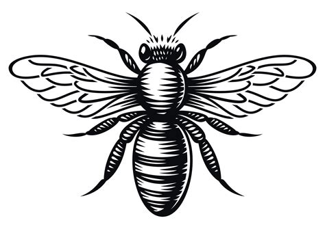 Bee Vector Art & Graphics freevector.com