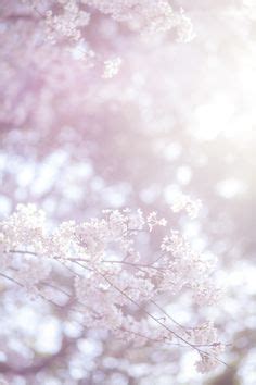 Beebee666_ Leaks PORN 224 Pics