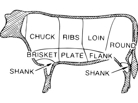 Beef Bones Regulations 1997 - Wikiwand