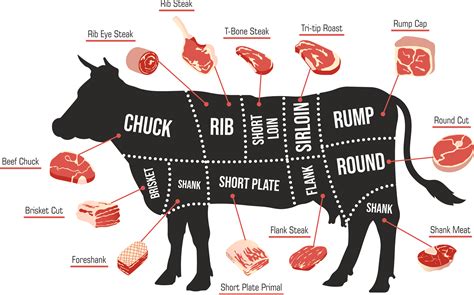 Beef Glossary & Beef Cuts Diagram - The Nibble