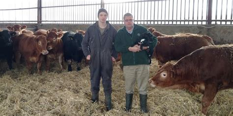 Beef farmers to come together for Scotland