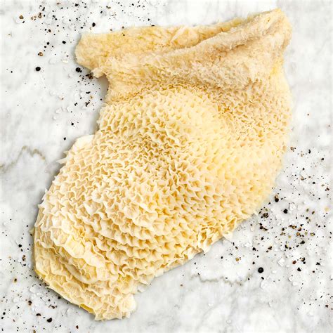 Beef honeycomb. Gather all ingredients. Fill a large stockpot with 5 quarts cold water, tripe, vinegar, 2 teaspoons salt, vanilla, and bay leaf; bring to a boil over high heat. Skim off any foam, then reduce the heat to medium-low, cover, and simmer for 1 1/2 hours. Transfer tripe to a plate and set aside to cool. 