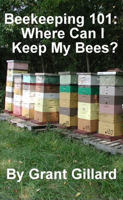 Beekeeping 101 Where Can I Keep My Bees