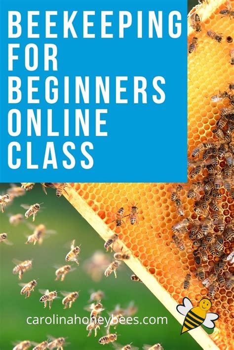 Beekeeping Class Online for Beginners Beekeeping course, Bee keeping