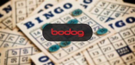 Beepbeepcasino6 com