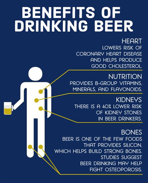 Beer: is it good or bad for your health? - The …