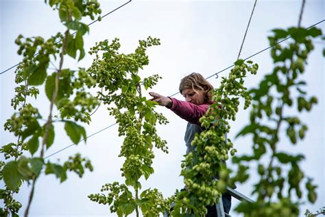 Beer from Start to Finish at Locality Brewing in Langley - The BC …