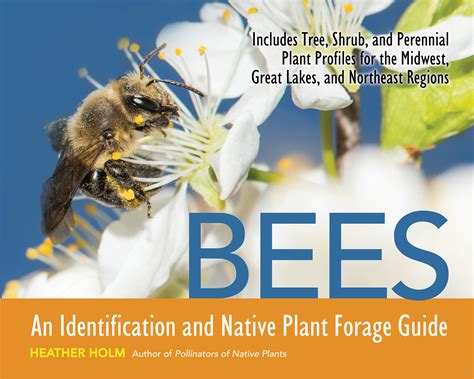 Bees an identification and native plant forage guide. - Taylor dunn b2 48 service manuals.