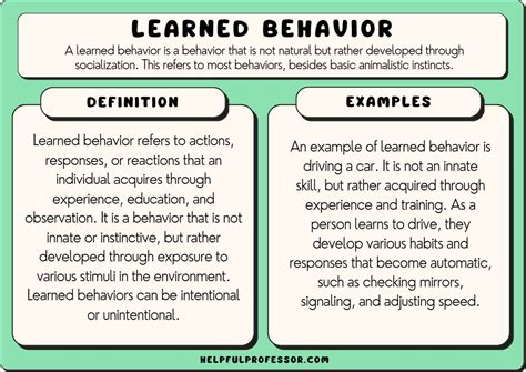 Behavior examples in real life.  Learn more.  be&bull;hav&prime;ior&bull;al&bull;ly, adv.  H...