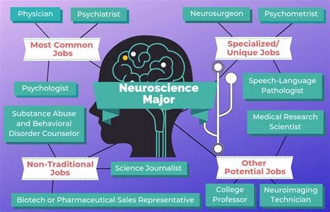 During your cognitive psychology master's degree, you can sp