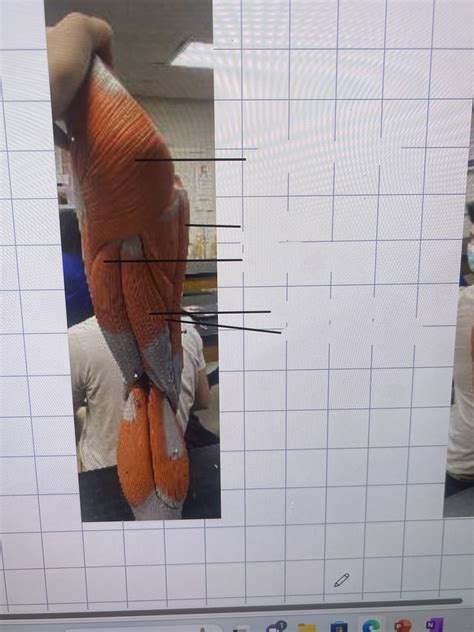Behind leg.. FeedPuzzle