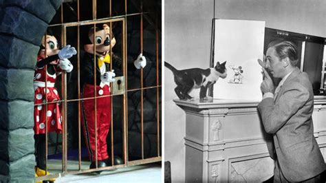 Behind the Scenes Secrets