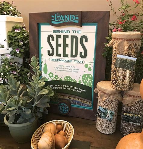 Behind the seeds tour. Disney World Backstage Tours · Behind the Seeds: Take a walking tour of the "Living with the Land" attractions. · Caring for Giants: Meet with dedicated ani... 