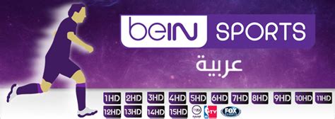 Bein sports middle east tv network