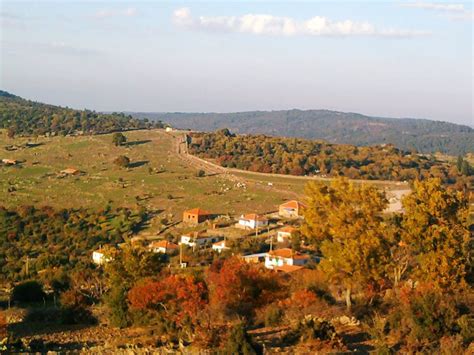 Bekirler Halı ve Koltuk Yıkama