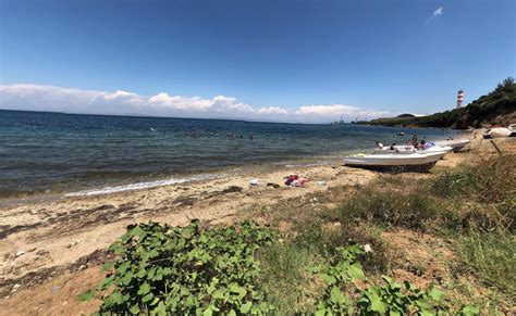 Bekirli Halı ve Koltuk Yıkama