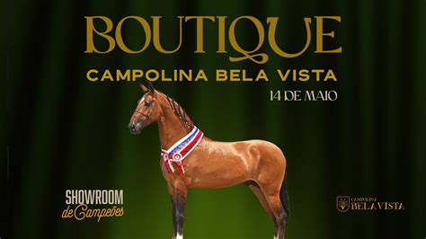 🍑 Bela Campolina Onlyfans Leaked PORN