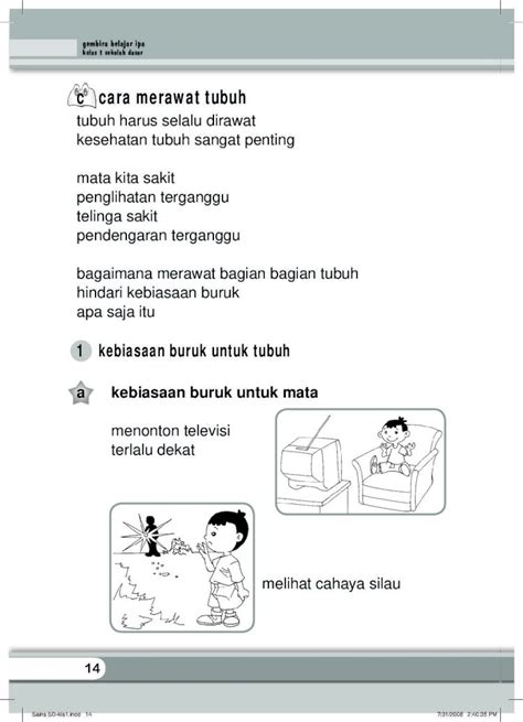 Cara menanam jeruk dari biji