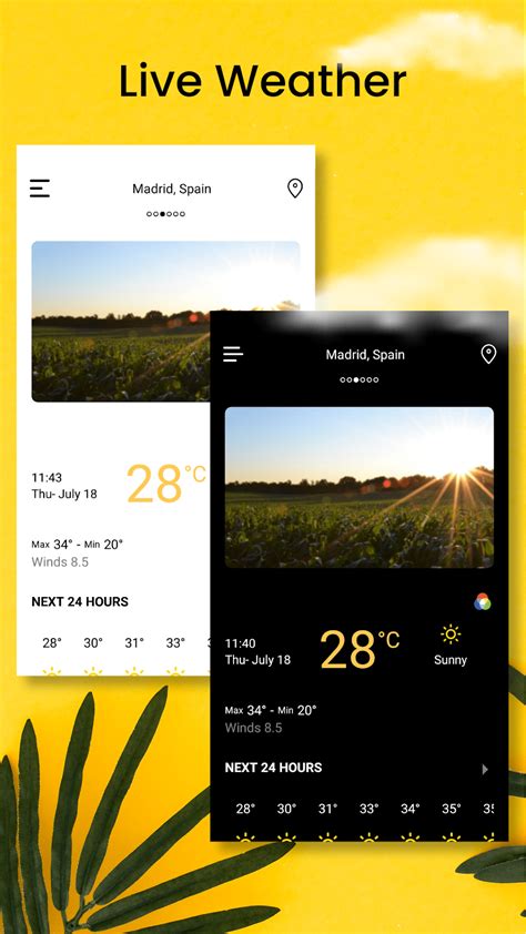 Belarus Weather APK Download for Android 
