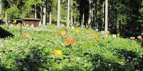 Belegstelle Bleckenau- Kreisverband Imker Ostallgäu