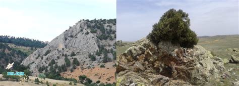 Belekler Halı ve Koltuk Yıkama